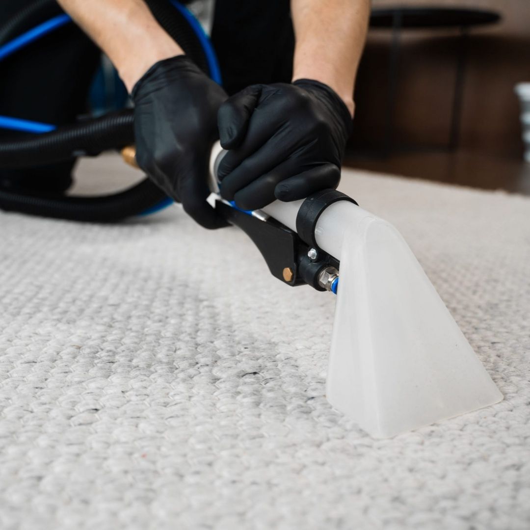 Teppichreinigung Berlin