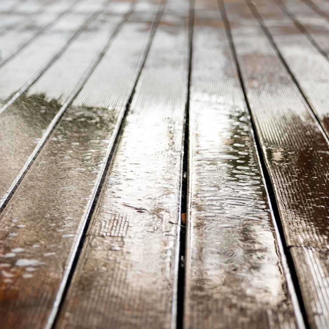 Teppichreinigung Berlin